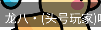 龙八头号玩家